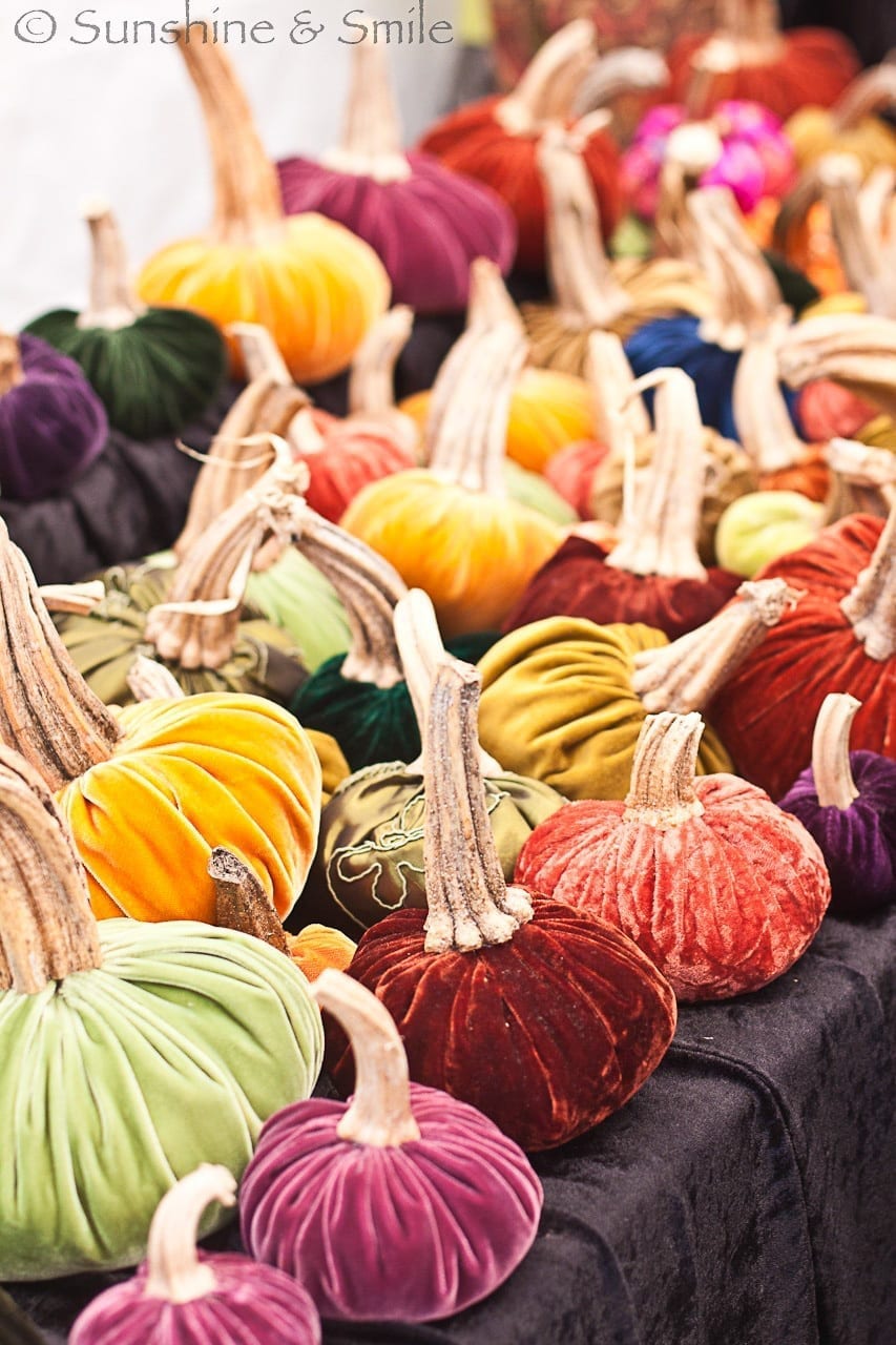 Pumpkin Festival 01