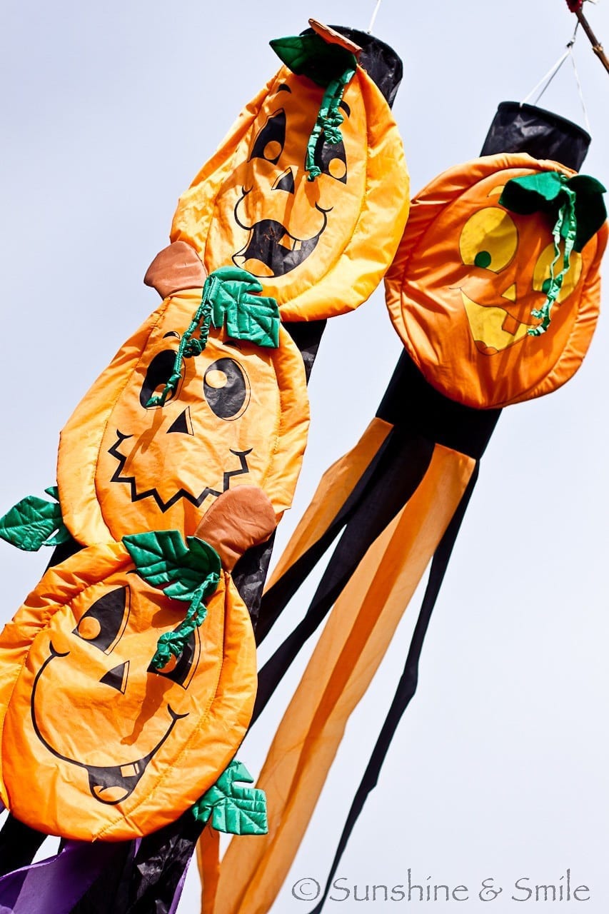 Pumpkin Festival 03