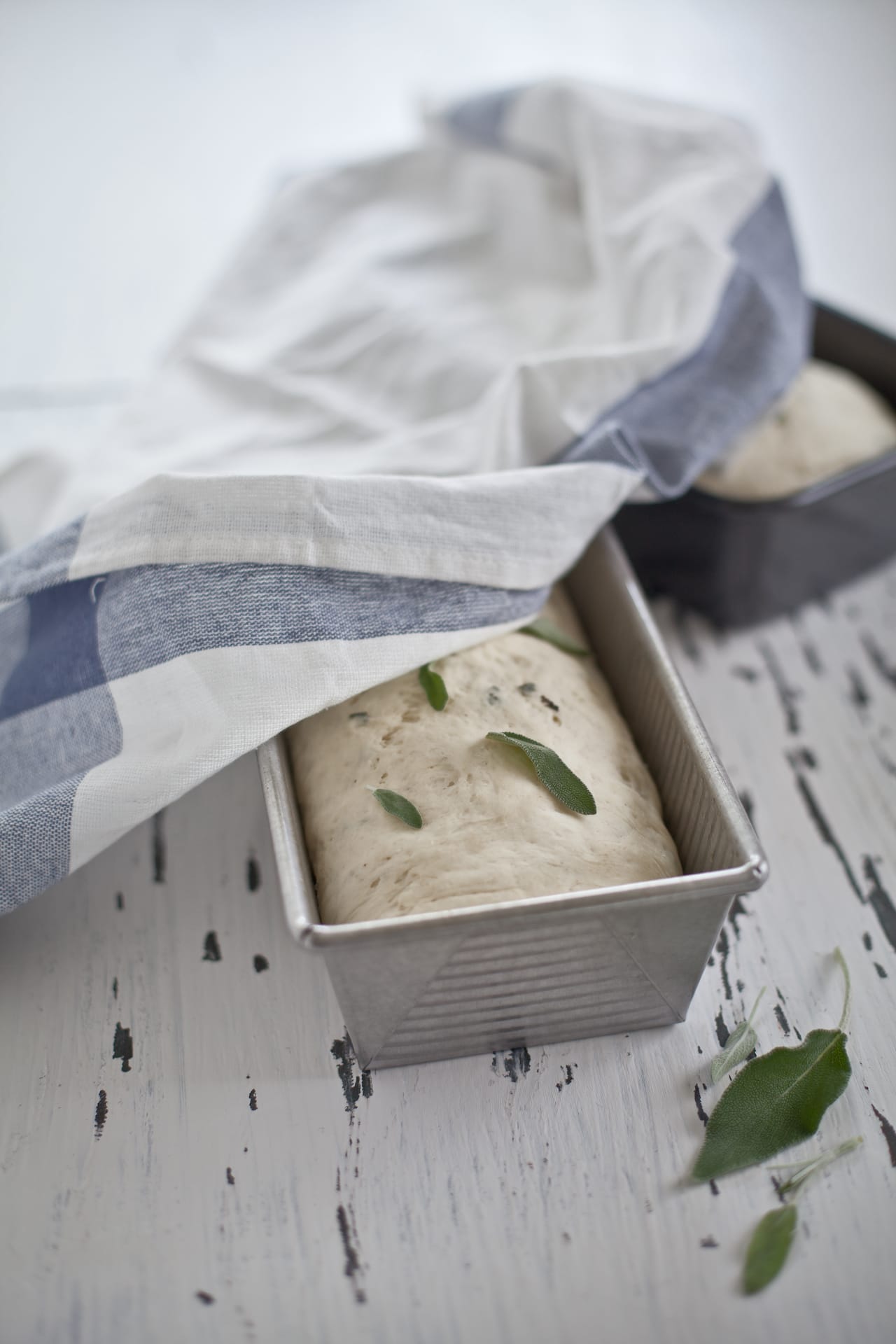 Ricotta and Sage Bread | Playful Cooking