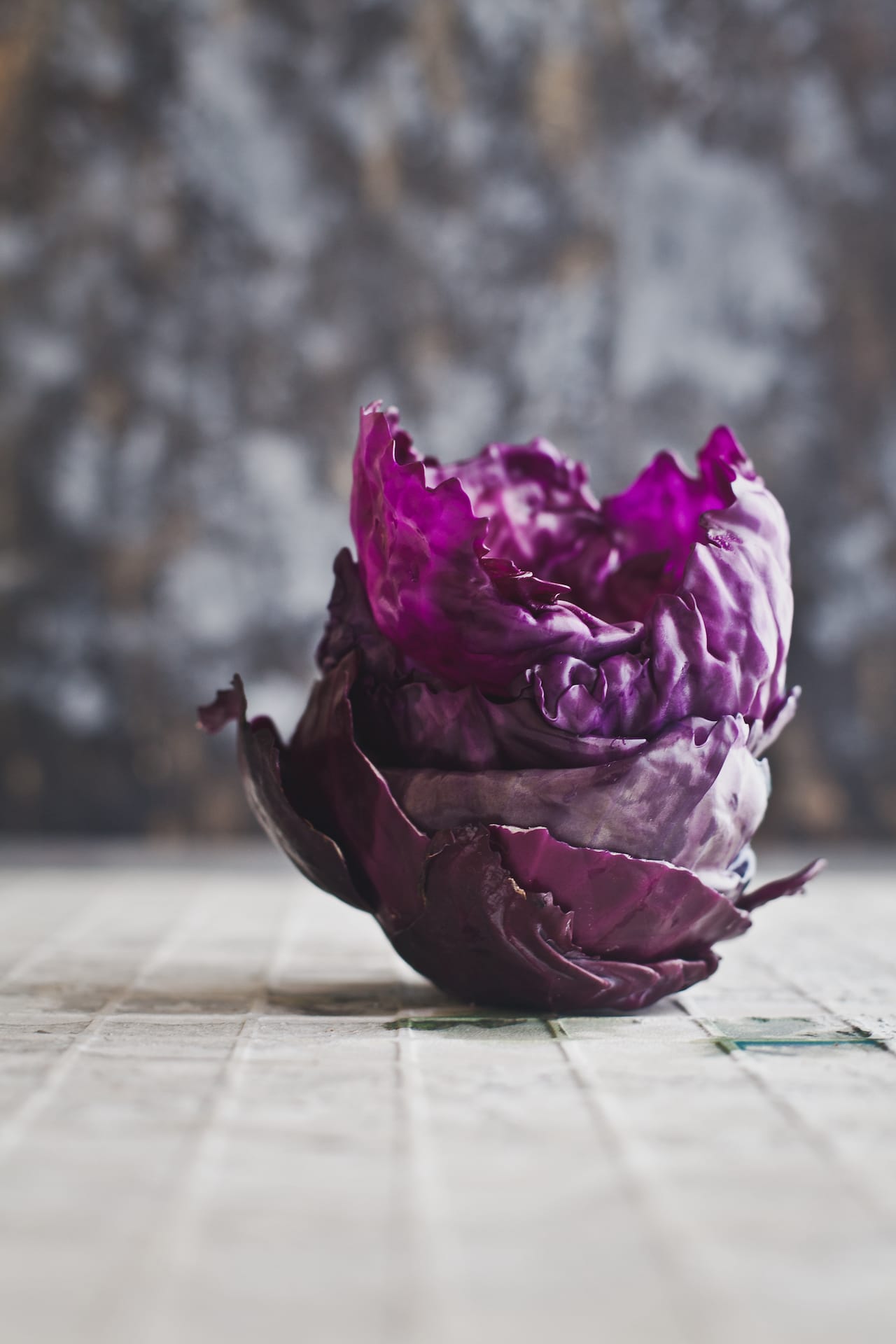 Purple Cabbage | Playful Cooking