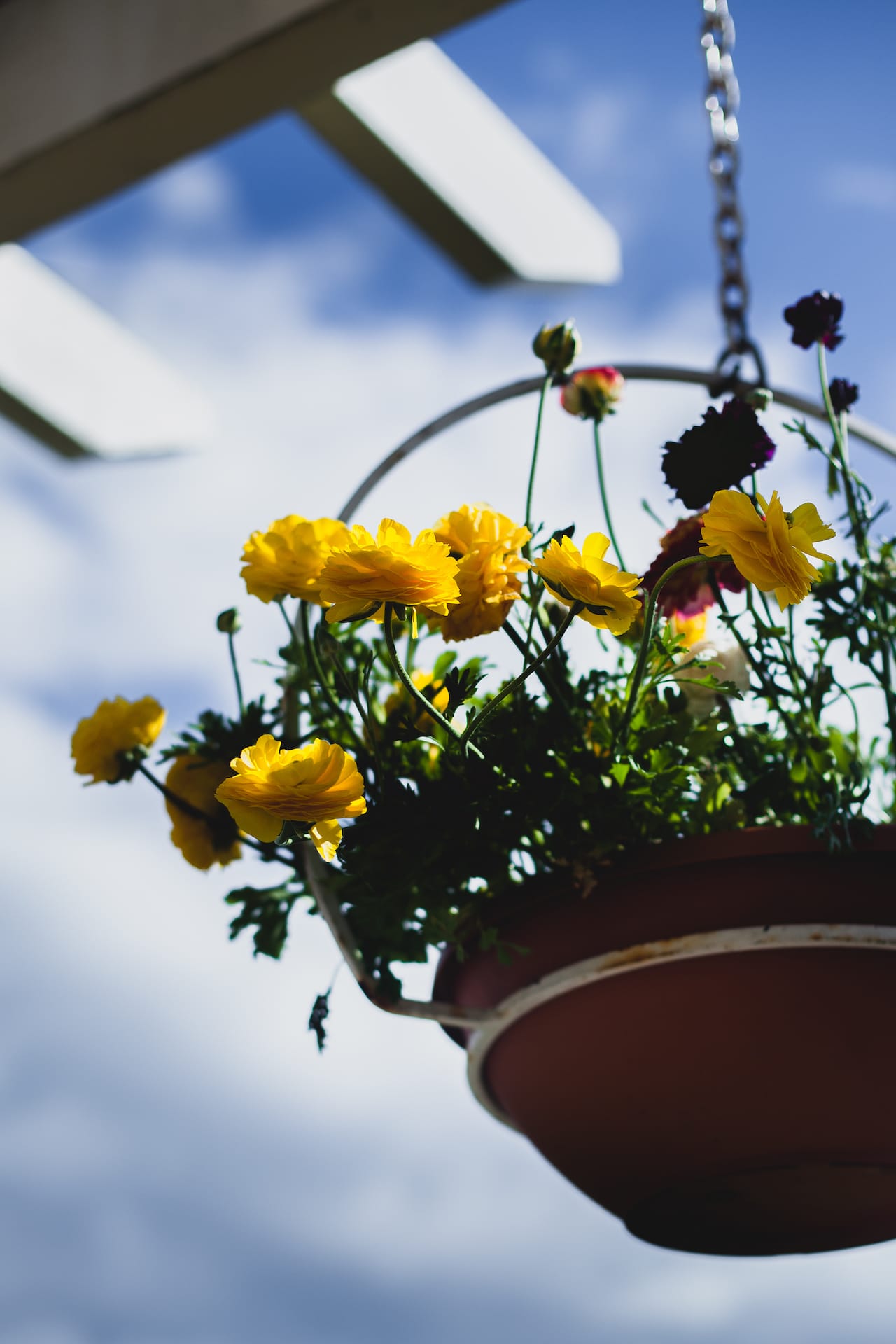 Celebrating 7th Wedding Anniversary |Playful Cooking