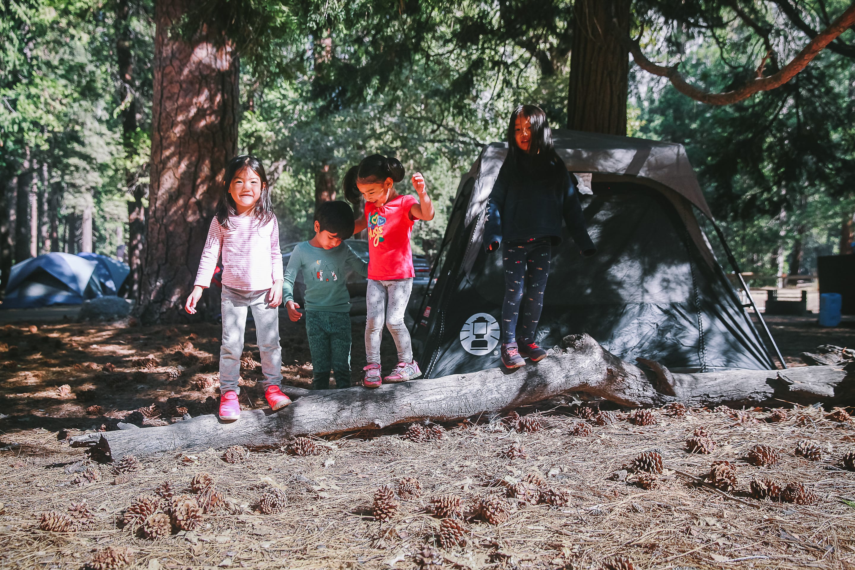 Our First Camping Experience #yosemite #camping #outdoor #photography | Playful Cooking