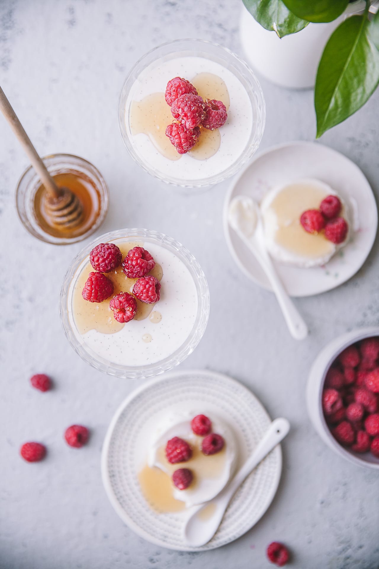 Delicious Dessert #honey #yogurt #pannacotta
