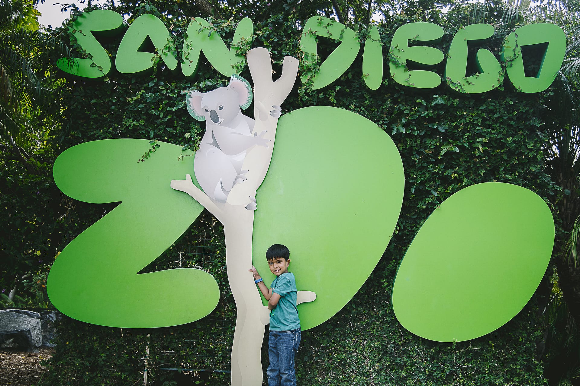 San Diego Zoo and Safari #travel #photography #zoo #safari