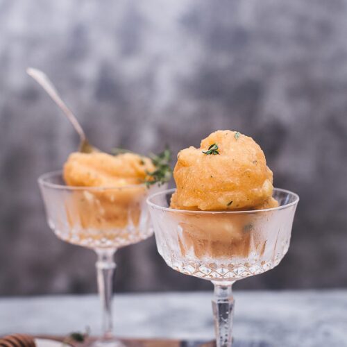 muskmelon sorbet 06