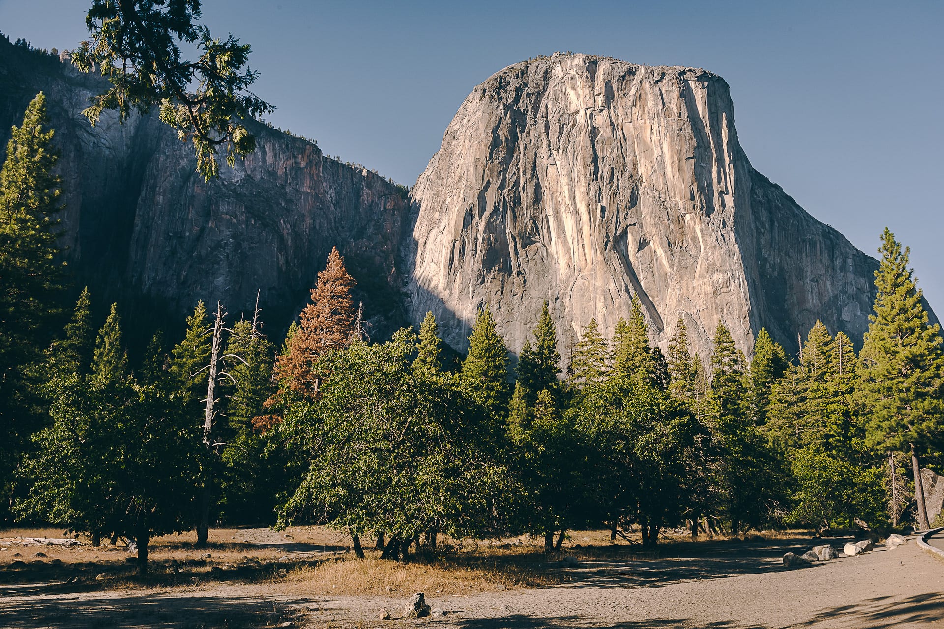 Camping in Yosemite - 2019