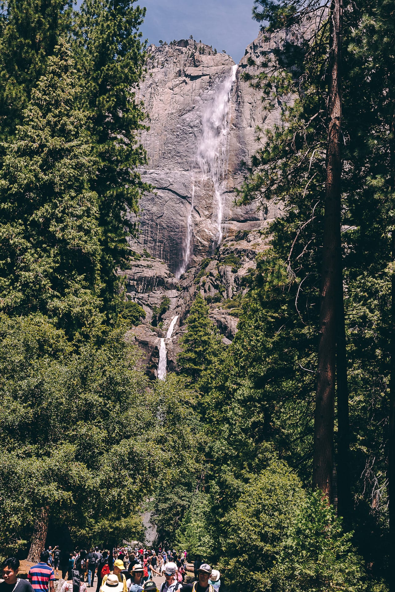 Camping in Yosemite - 2019