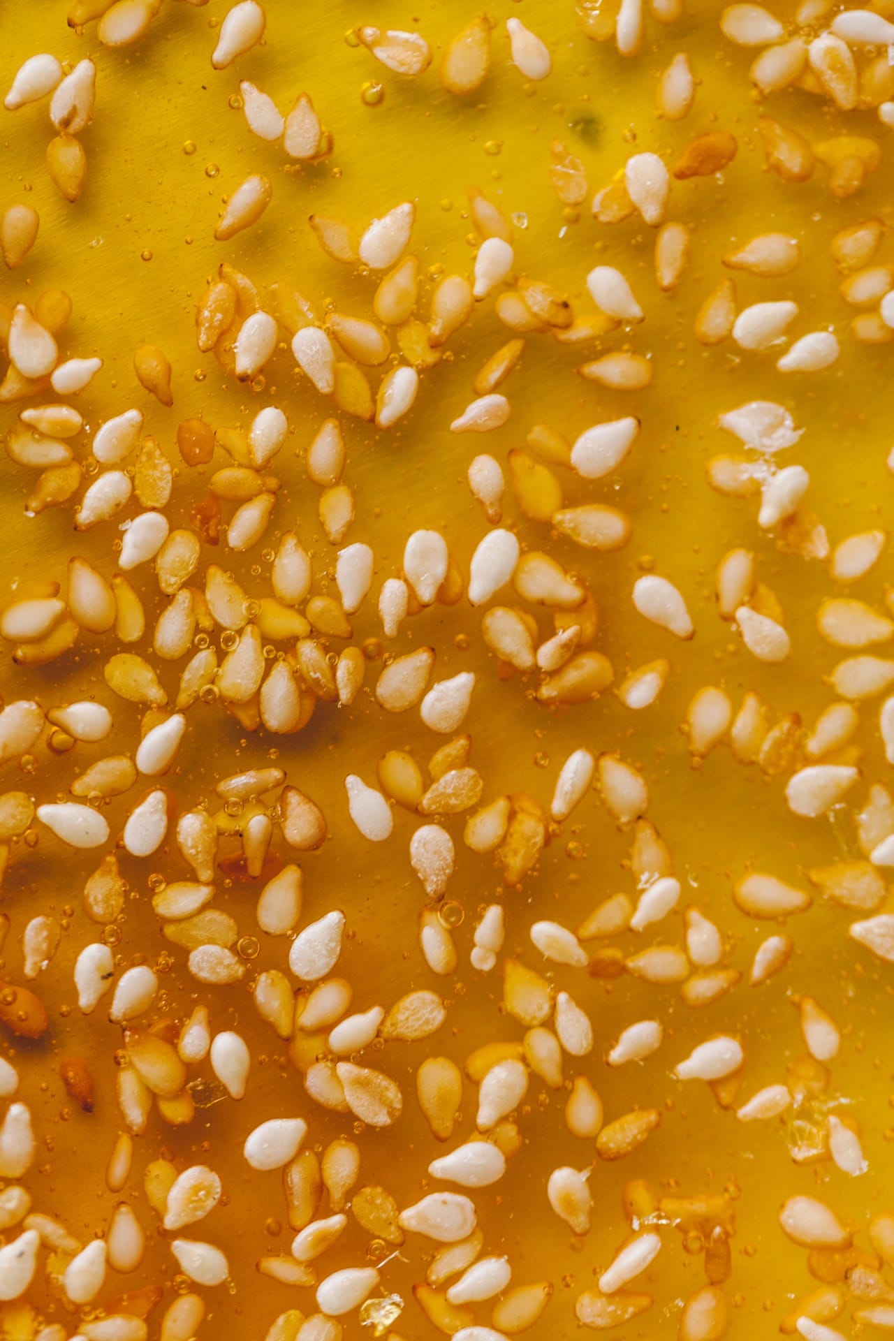 Sesame Brittle | Playful Cooking #caramel #pannacotta #eggless #foodphotography #foodstyling #dessert