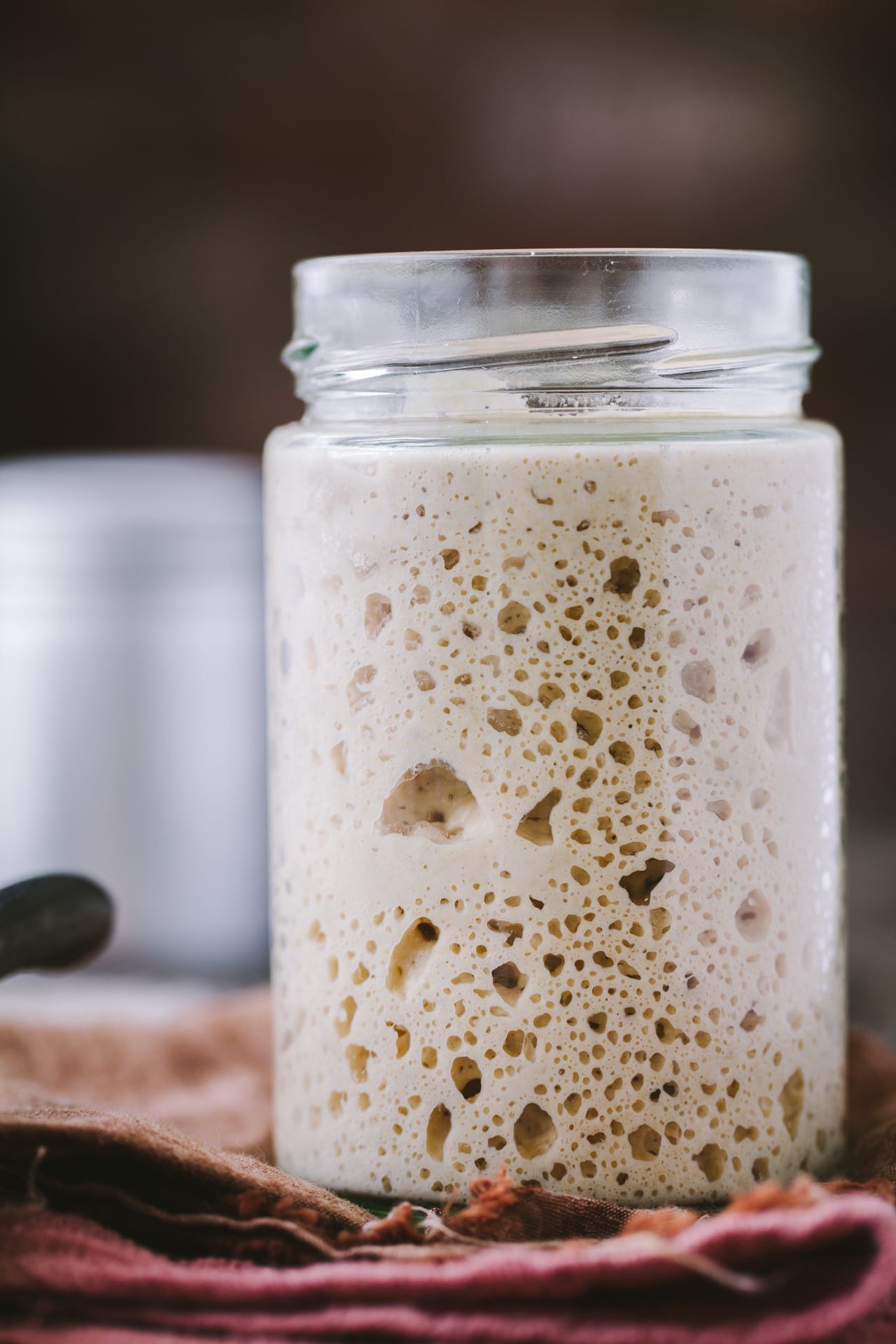 Sourdough starter using everyday flours playful cooking