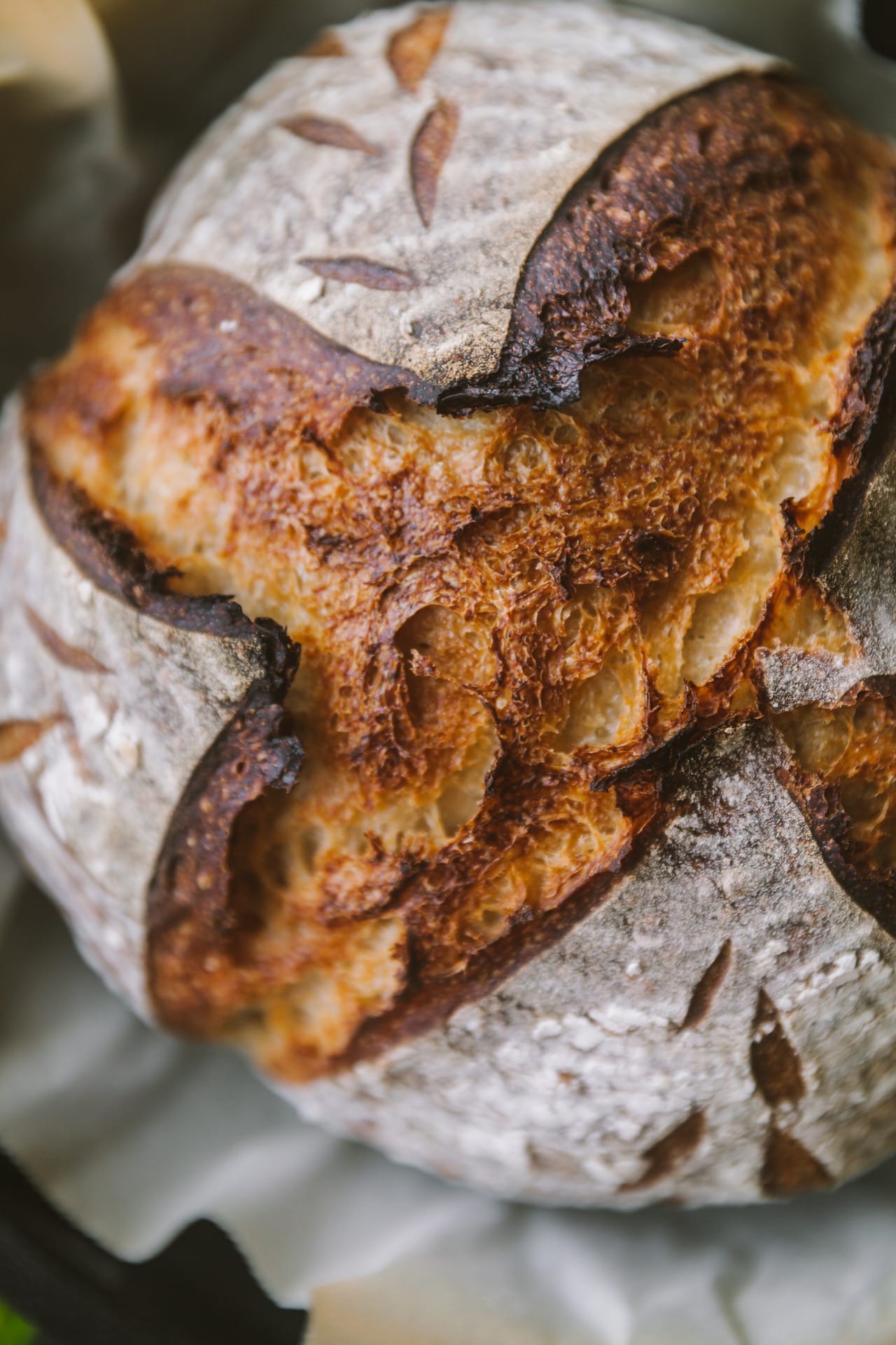 Sourdough Bread