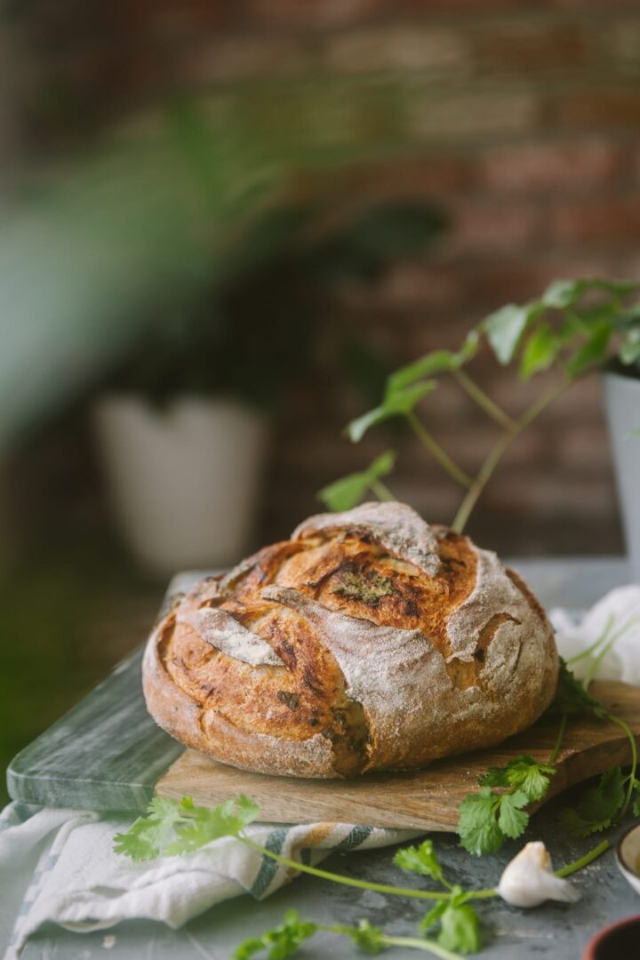 Roasted Garlic and Cilantro Bread NO KNEAD Playful Cooking