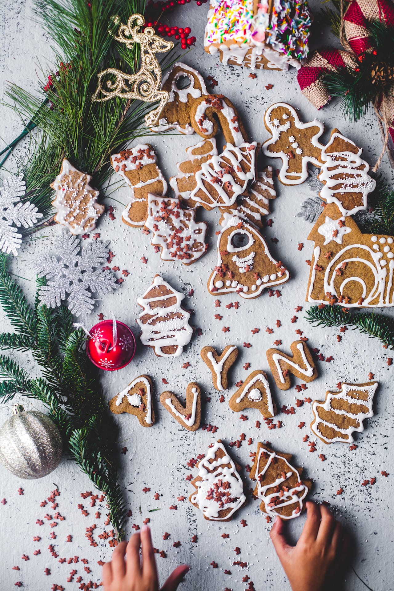 Soft Ginger Bread Cookies 