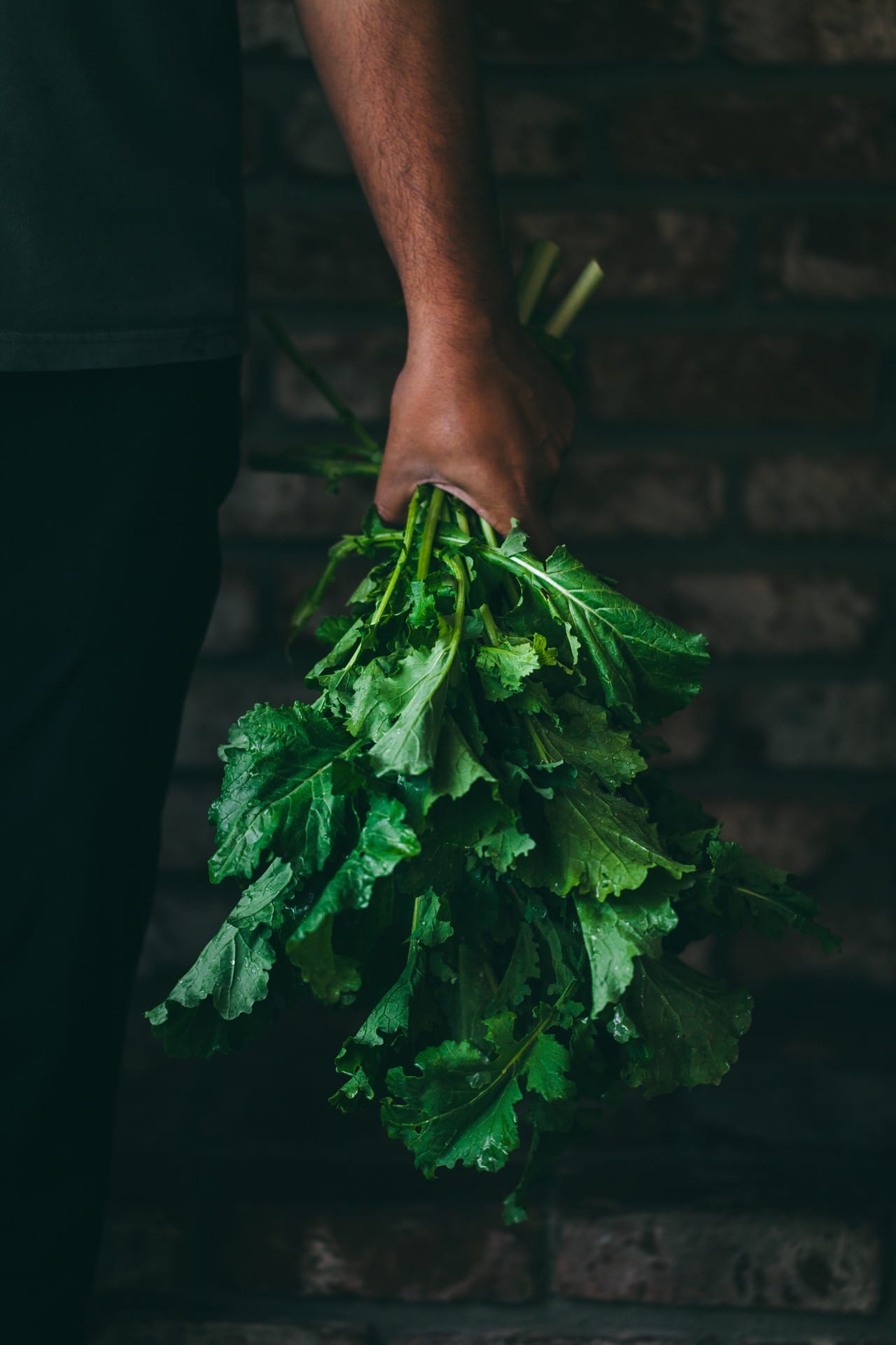 Raw Mustard Green Leaves
