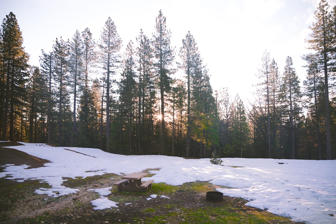 Big Trees State Park Cabin
