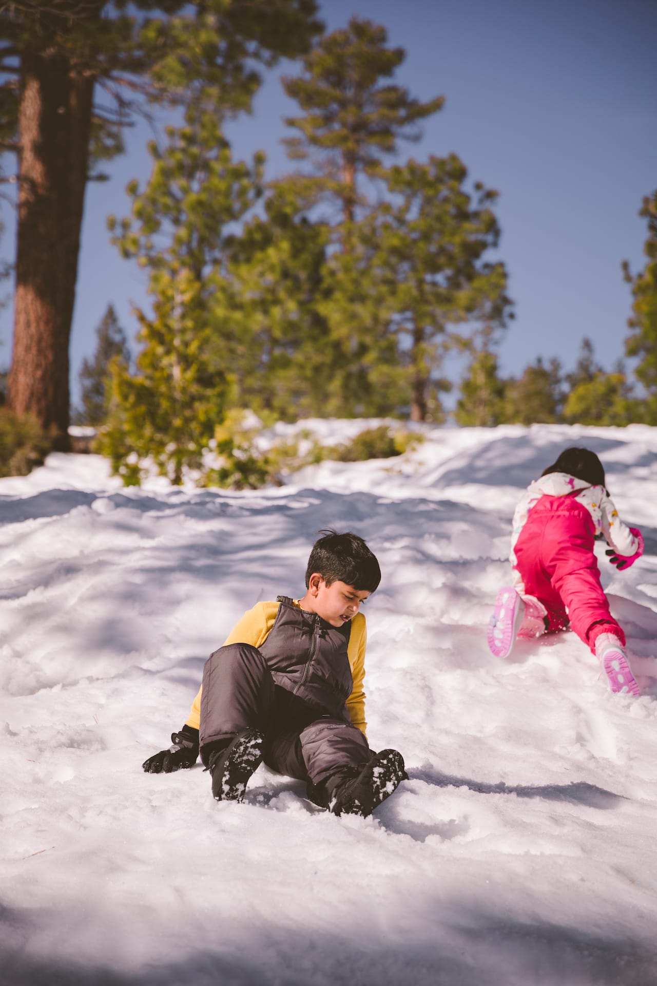 Sledging at Spicer Snow Park