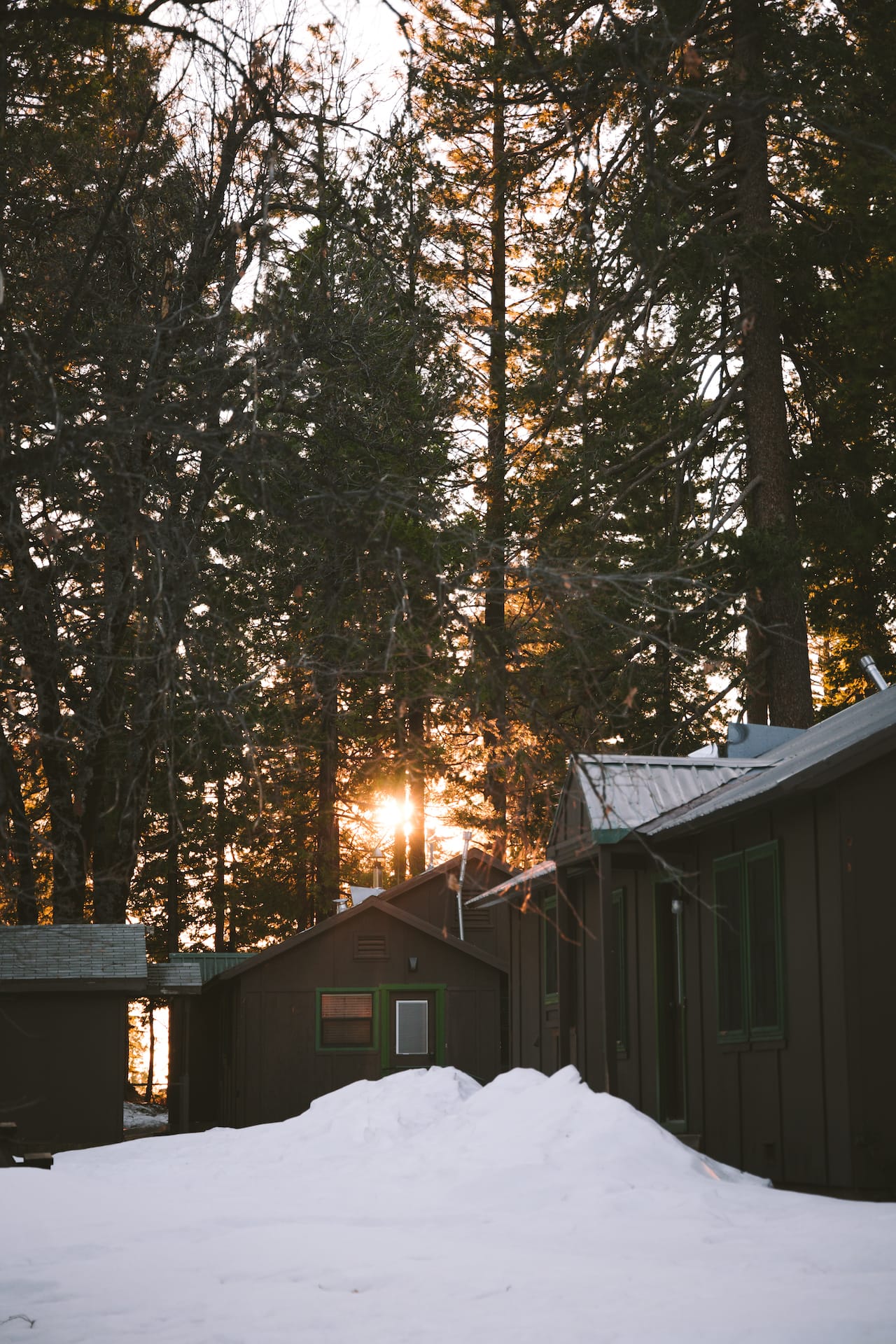 Big Trees State Park Cabin
