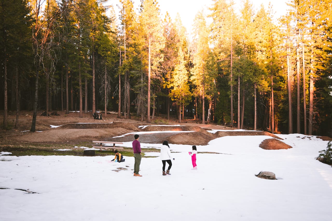 Big Trees State Park Cabin