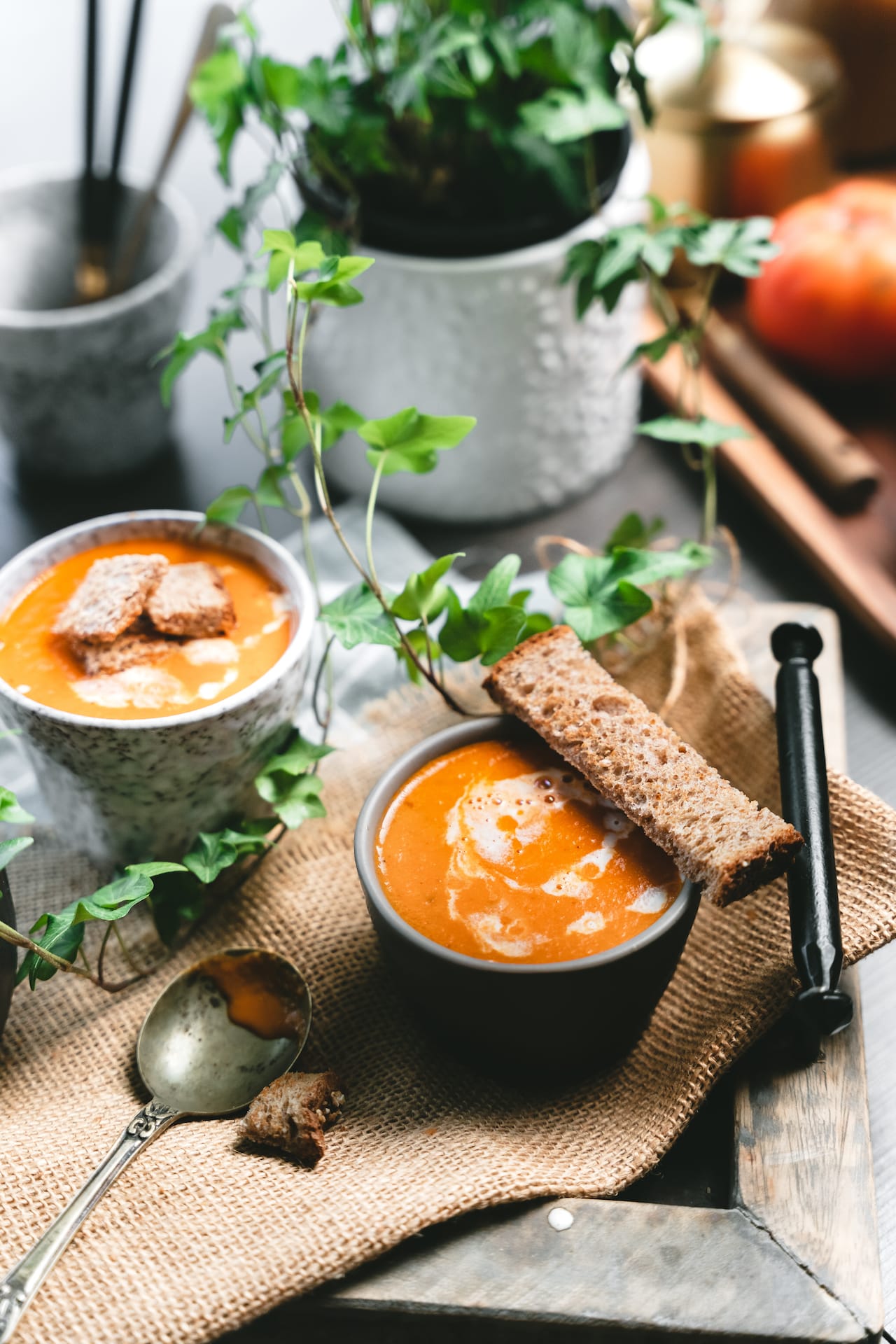 Tomato Shorba