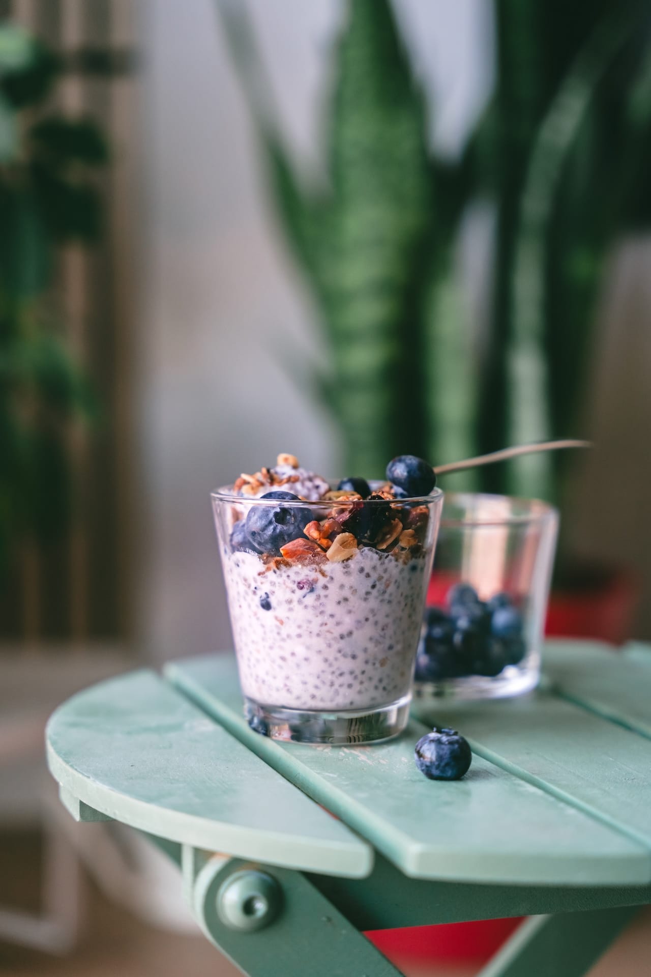 Blueberry Chia Pudding