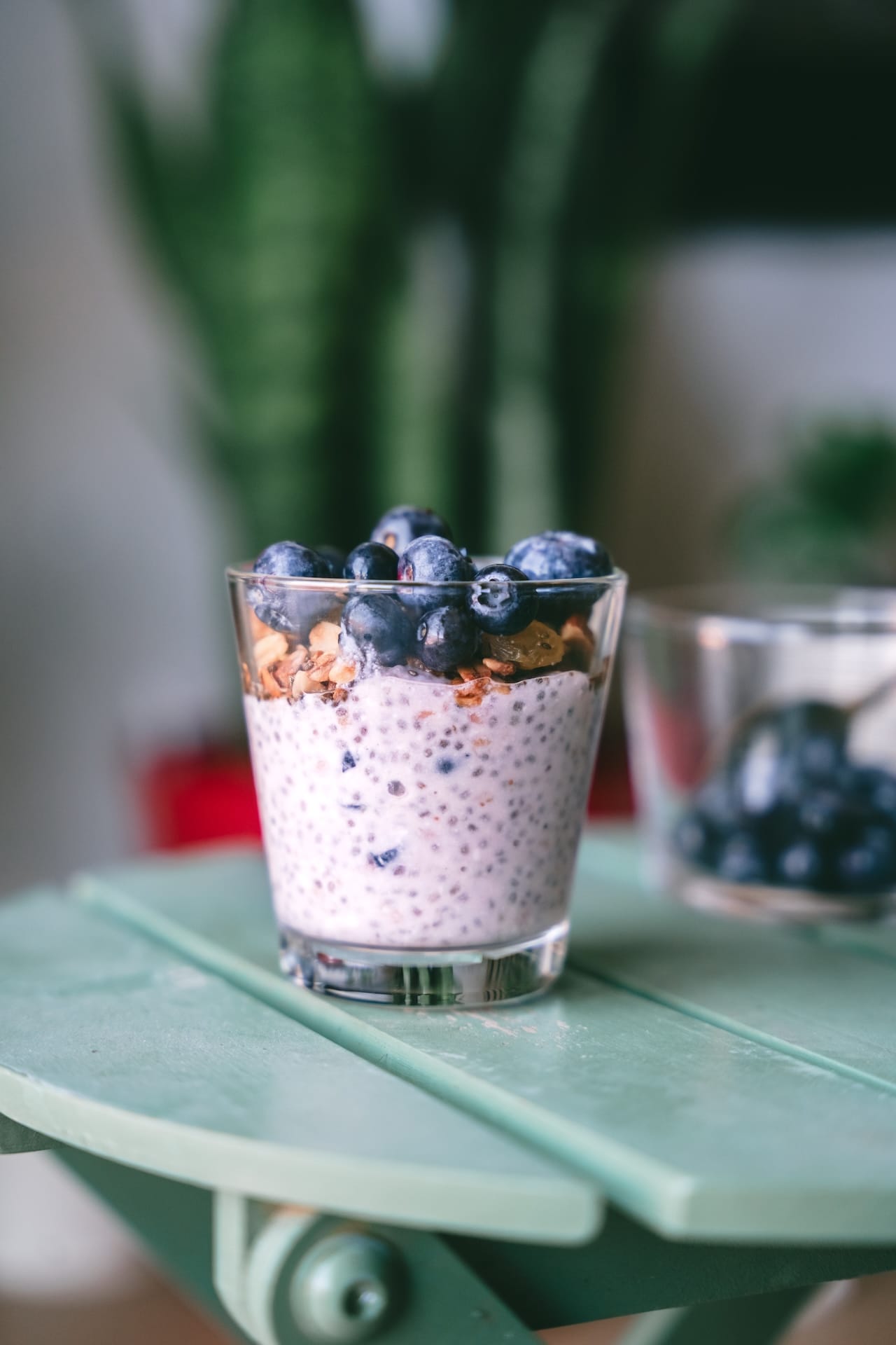Blueberry Chia Pudding