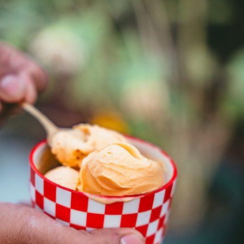 Mango Frozen Yogurt