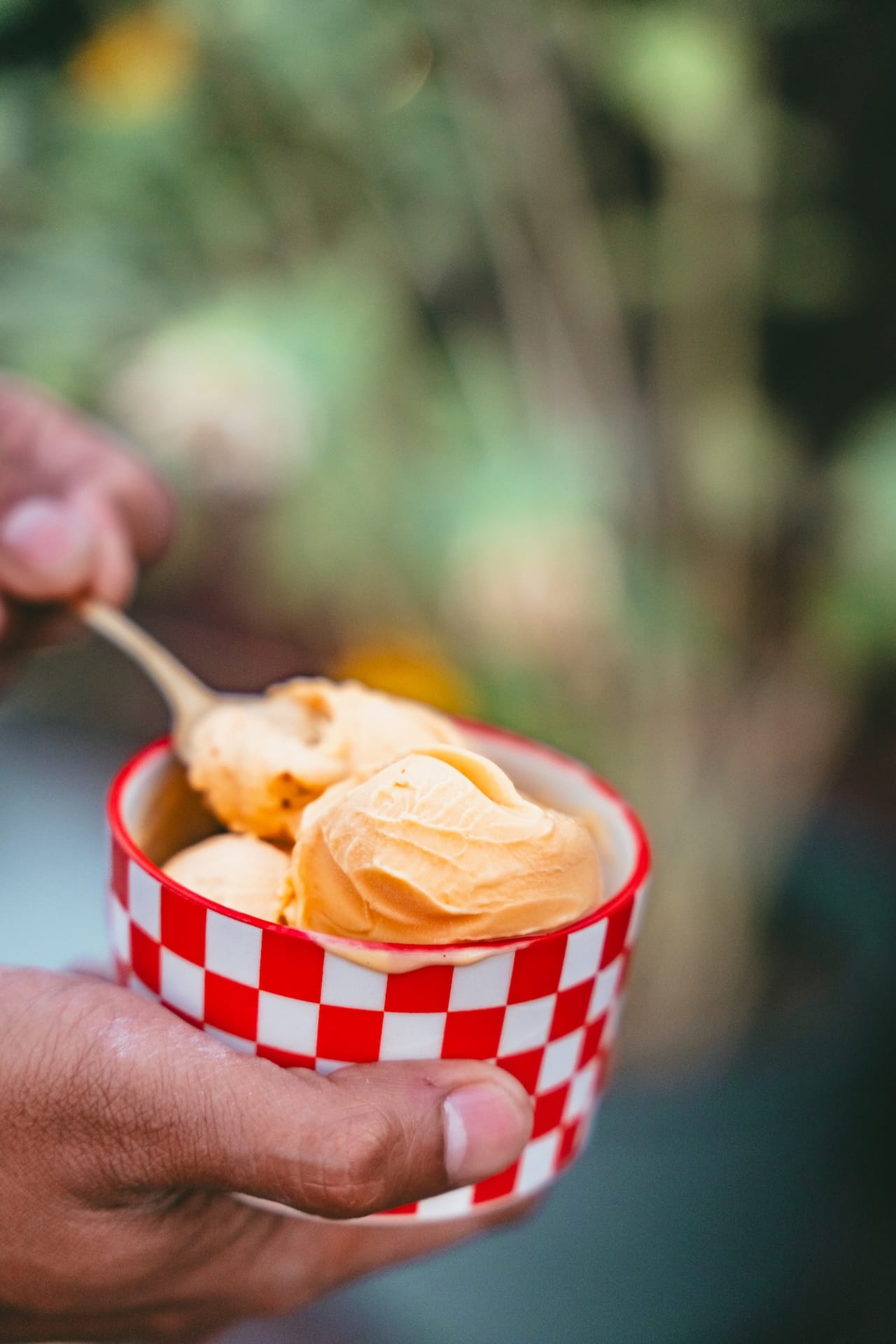 Mango Frozen Yogurt